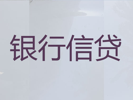 河源正规贷款公司-银行信用贷款